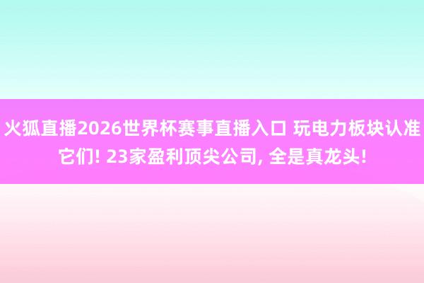 火狐直播2026世界杯赛事直播入口 玩电力板块认准它们! 23家盈利顶尖公司, 全是真龙头!