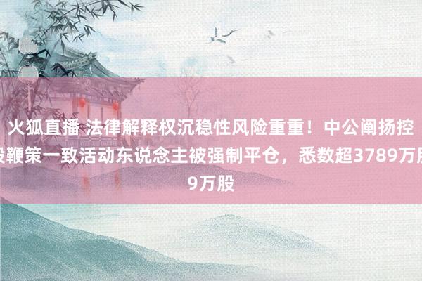 火狐直播 法律解释权沉稳性风险重重！中公阐扬控股鞭策一致活动东说念主被强制平仓，悉数超3789万股