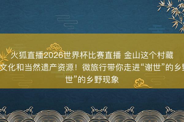 火狐直播2026世界杯比赛直播 金山这个村藏着7处文化和当然遗产资源!微旅行带你走进“谢世”的乡野现象