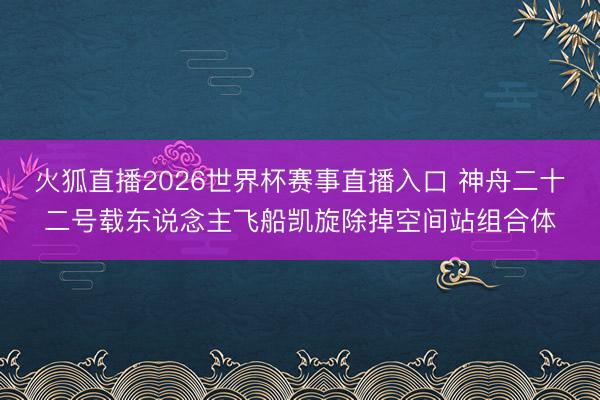 火狐直播2026世界杯赛事直播入口 神舟二十二号载东说念主飞船凯旋除掉空间站组合体